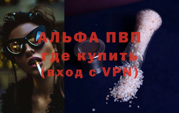 молекула духа Надым
