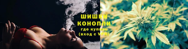 молекула духа Надым