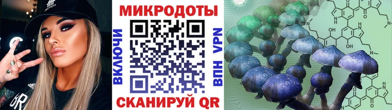 Псилоцибиновые грибы GOLDEN TEACHER  mega   Зерноград 