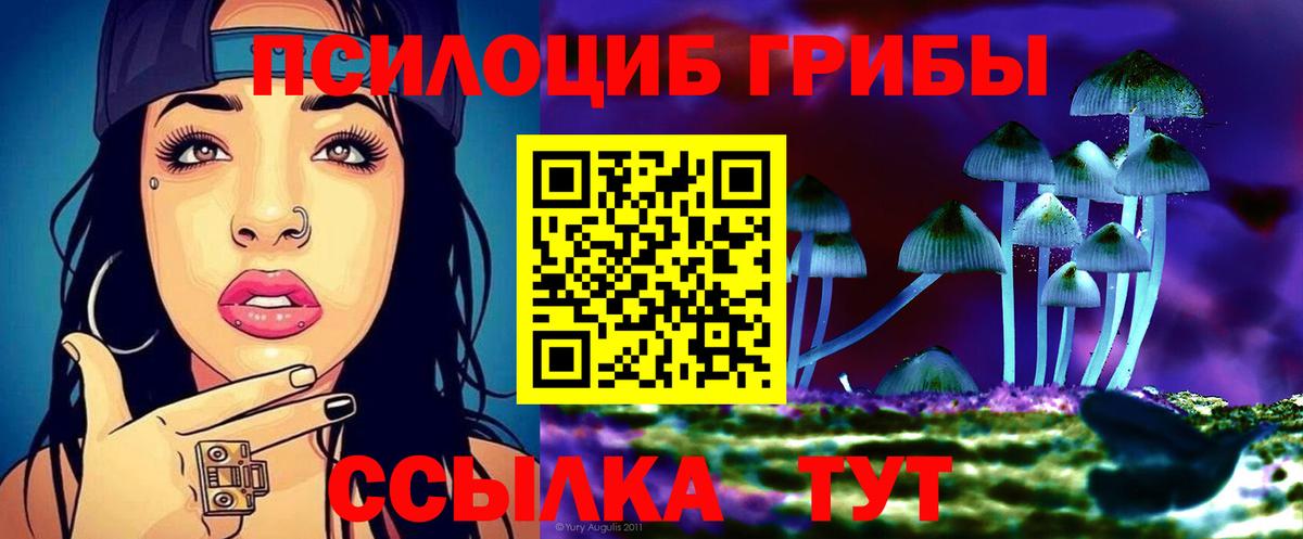 Псилоцибиновые грибы MAGIC MUSHROOMS Зерноград