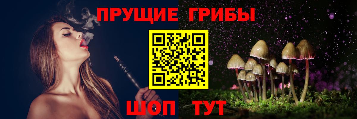 Галлюциногенные грибы Cubensis Зерноград