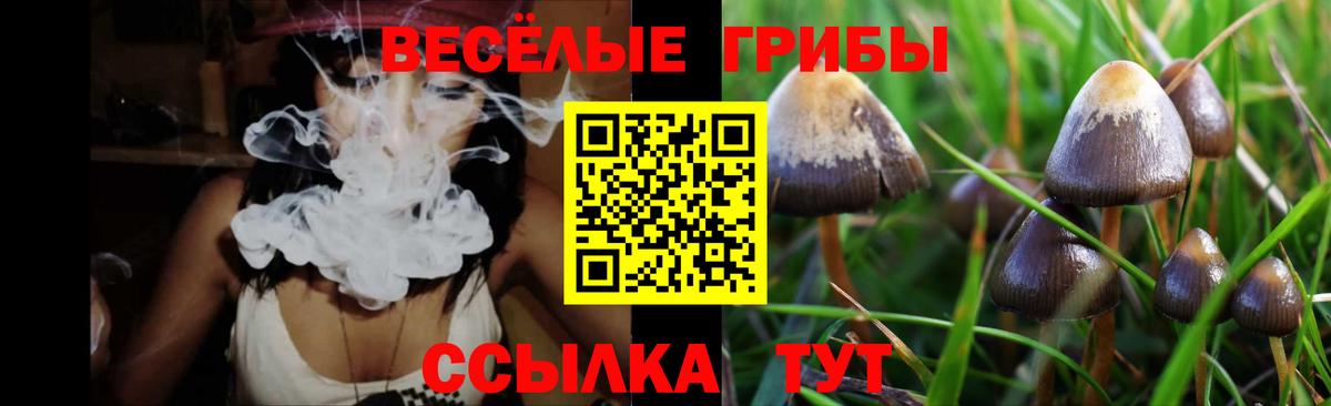 купить закладку  Псилоцибиновые грибы мицелий  Зерноград  Вход с VPN  Галлюциногенные грибы мицелий 