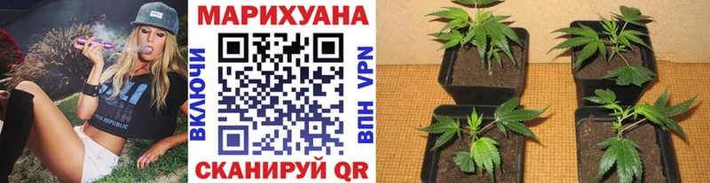 Каннабис LSD WEED  Зерноград 